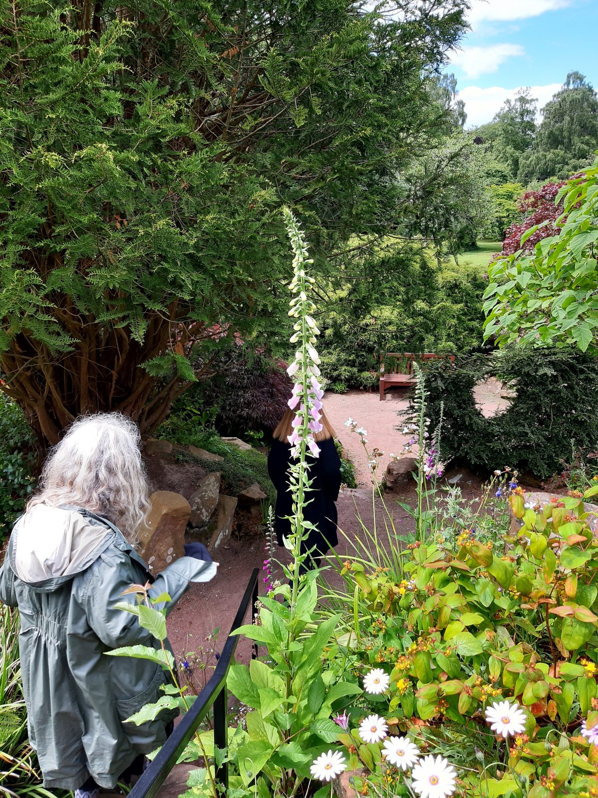 The sunken garden, at the Crichton Estate